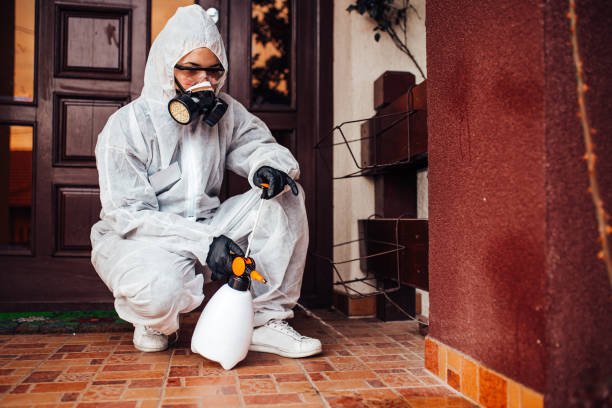 Reliable Cockroach Control contractor in Valley Forge, TN by Nex Pest Control
